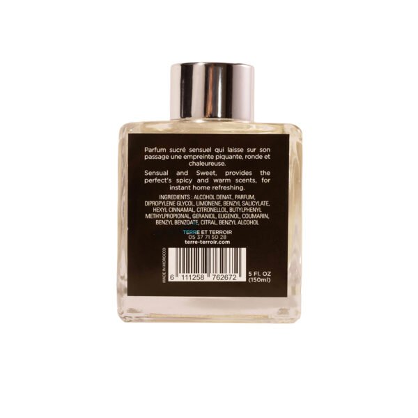 Sans titre-15_0010__T2A5379